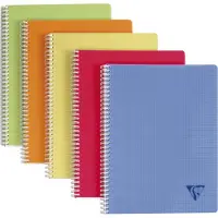 Clairefontaine Linicolor