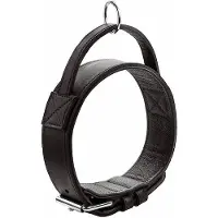 Hunter Trainingshalsband mit Gri Larvik