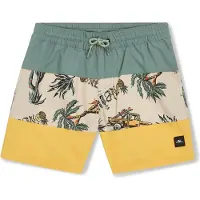 O'Neill Kinder Badehose MIX & MATCH CALI BLOCK 13'' SWIM SHORTS