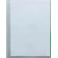 FolderSys Prospekthüllen A4 PP Euro-Lochung mit Indexstreifen VE=100 Stück transparent/grün