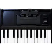 Roland K-25m Keyboard für Boutique-Serie