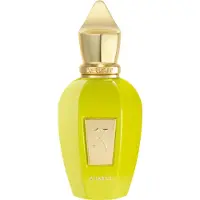 XERJOFF Vibe Collection Amabile Eau de Parfum Spray 50 ml