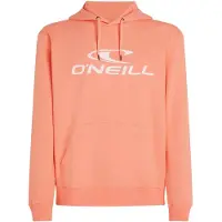 O'Neill Logo Kapuzenpullover