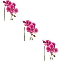 Creativ Green Kunstblume "Phalaenopsis 3D-print" mit Real-Touch-Blüten