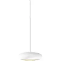 Brück Blop Down DLR LED-Pendel für das DUOLARE Schienensystem-Weiß-30° Lichtaustrittswinkel-mit LED (2700K)