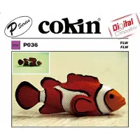 Cokin Filter P036 FL-W