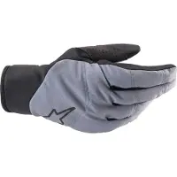 Alpinestars Denali 2 Handschuhe