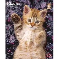 Trixie Kalender Kätzchen