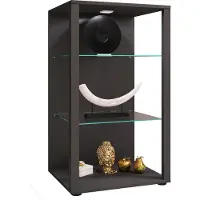 VCM Holz Glas Vitrine Sammelvitrine Glasvitrine Schaukasten Standvitrine Glasol XL