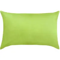 TRAUMSCHLAF Premium Interlock Kissenbezug 40x60 cm apfelgrün