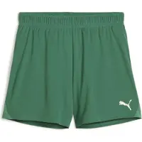 Puma teamGOAL Handball Shorts W