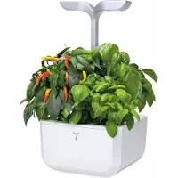 Veritable Exky SMART Indoor-Garten, arktisch weiß
