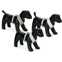 Beeztees Bronda Hundegeschirr