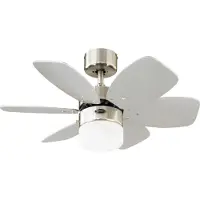 WESTINGHOUSE Flora Royal