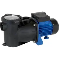 T.I.P. SPP 300 F Schwimmbadfilterpumpe