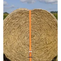 Kerbl Ratschenzurrgurt 2-tlg. orange Aufdruck, 50 mm / 30m, 4000kg