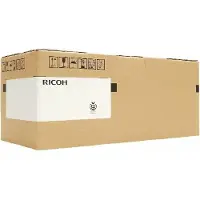 Ricoh A0962060