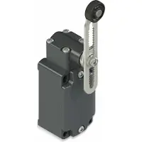 PIZZATO ELETTRICA FD 556-M2 Endestopkontakt 250 V/AC 6 A Rullesvingarm Tastende IP67 1 stk