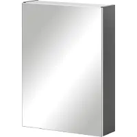 MÖBELPARTNER Spiegelschrank Basic 50 x 15,8 x 70 cm anthrazit 1-türig