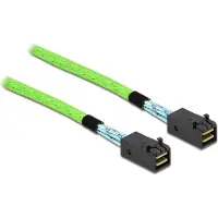 DeLOCK SAS-Kabel SFF-8673 - SFF-8673 1 m