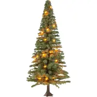 Noch Beleuchteter Weihnachtsbaum, Grün