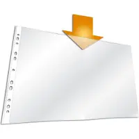 Durable 267119, 300 x 420 (A3), Transparent, Polypropylen (PP), 10 Stück(e)