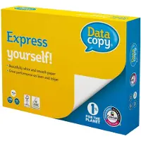 Data Copy Kopipapir DataCopy A4 hvid 100g - (500 ark)