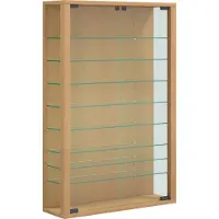 VCM Sammel Wandvitrine