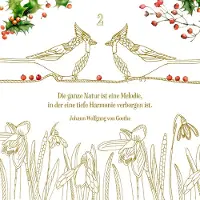 Sonstige Verlage Kreativ-Adventskalender - Zauber der Natur