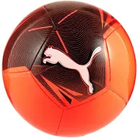 Puma Ball Big Cat ball