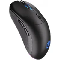 Endorfy Kabellose Gaming-Maus GEM Plus Wireless, ARGB, Gewicht 74g, 26000 DPI