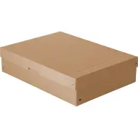 Falken Archivbox PureBox Nature A3, für bis zu 1250 Blatt, mit Beschriftungsfeld, L 440 x B 320 x Füllhöhe 100 mm, FSC-Pappe, braun