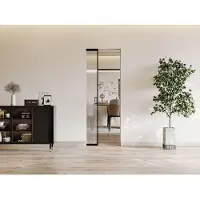 Vente-unique Versenkbare Schiebetür - Aluminium und mattiertes gehärtetes Glas - H 205 x B 73 cm - LINCI II