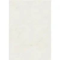 Zanders Elefanthud Office 88001576 DIN A4 110 g/m² 100 Blad Hvid
