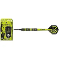 Winmau MvG Ambition