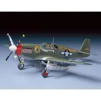 Tamiya 1/48 MUSTANG P-51B