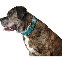 Hunter Pet Plus Thread Hundehalsband