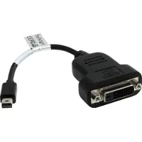 StarTech.com Aktiver Mini Displayport Auf Dvi Adapter