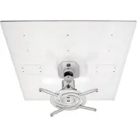 Amer Mounts AMRDCP100KIT, Zimmerdecke, 13,61 kg, Weiß, 360°, 0 - 180°, 609,6 mm