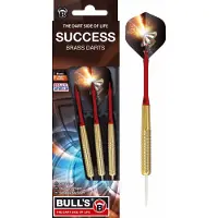 Bull's Success Steel Dart