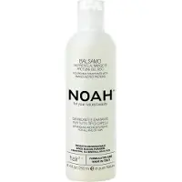 NOAH Nutritivo Mango Acondicionador 250ml