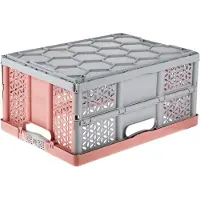 Keeeper Profi-Klappbox "lea" 32 Liter nordic-red