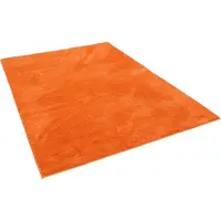 Pergamon Luxus Super Soft Hochflor Langflor Teppich Silky