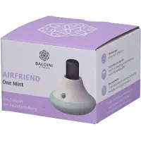 TAOASIS GmbH Natur Duft Manufaktur Baldini Airfriend One Mint 1 St