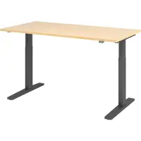 Hjh OFFICE PRO XMKA 16 G - Ahorn 160 x 80 elektrisch höhenverstellbar