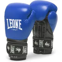 Leone1947 Ambassador Kampfhandschuhe