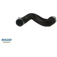 BUGIAD Ladeluftschlauch [Hersteller-Nr. 82272] für Citroën