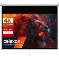 Celexon basic line Rolloleinwand 200 x 113cm,Leinwand Format 16:9 , Heimkino Leinwand, Beamerleinwan
