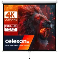Celexon basic line Rolloleinwand 200 x 200cm,Leinwand Format 1:1 , Heimkino Leinwand, Beamerleinwand