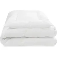 Julius Zöllner 4 Jahreszeiten